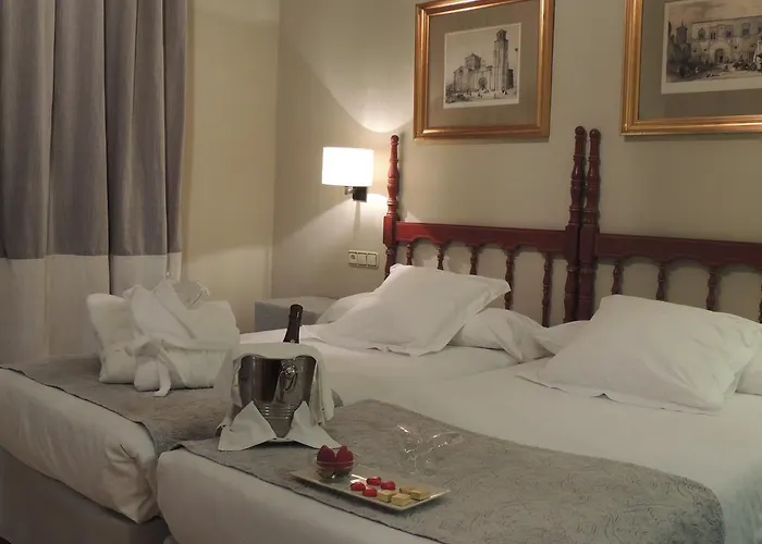 호텔 파라도르 데 자모라 4*